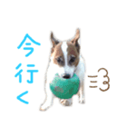村田ラッシー（個別スタンプ：1）
