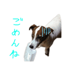 村田ラッシー（個別スタンプ：4）