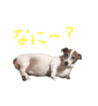 村田ラッシー（個別スタンプ：5）