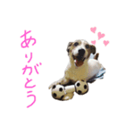 村田ラッシー（個別スタンプ：6）