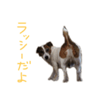 村田ラッシー（個別スタンプ：8）