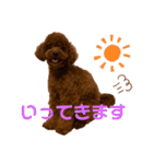moco...2（個別スタンプ：1）