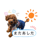 moco...2（個別スタンプ：8）