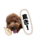 moco...2（個別スタンプ：10）
