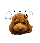 moco...2（個別スタンプ：14）