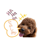 moco...2（個別スタンプ：16）