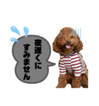 moco...2（個別スタンプ：17）