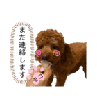 moco...2（個別スタンプ：19）