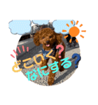 moco...2（個別スタンプ：20）