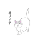 いろどりあつめの物語スタンプ（個別スタンプ：35）