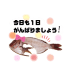 捌かれた魚（個別スタンプ：1）