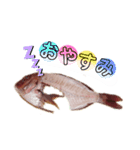 捌かれた魚（個別スタンプ：5）