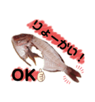 捌かれた魚（個別スタンプ：6）