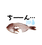 捌かれた魚（個別スタンプ：7）