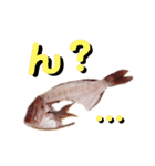 捌かれた魚（個別スタンプ：8）