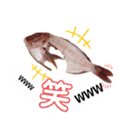 捌かれた魚（個別スタンプ：9）