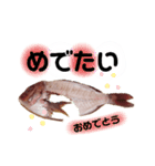 捌かれた魚（個別スタンプ：10）
