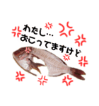 捌かれた魚（個別スタンプ：11）