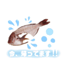 捌かれた魚（個別スタンプ：14）