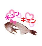 捌かれた魚（個別スタンプ：17）