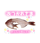 捌かれた魚（個別スタンプ：19）
