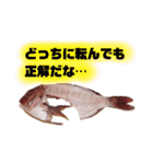 捌かれた魚（個別スタンプ：21）