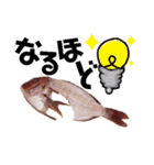 捌かれた魚（個別スタンプ：22）