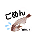 捌かれた魚（個別スタンプ：23）