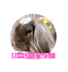 ひじきくんスタンプ（個別スタンプ：1）
