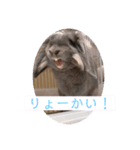 ひじきくんスタンプ（個別スタンプ：2）