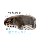 ひじきくんスタンプ（個別スタンプ：4）