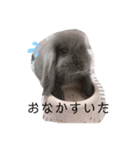 ひじきくんスタンプ（個別スタンプ：5）