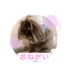 ひじきくんスタンプ（個別スタンプ：6）