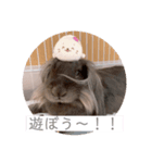 ひじきくんスタンプ（個別スタンプ：7）