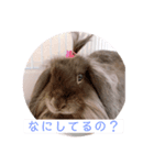 ひじきくんスタンプ（個別スタンプ：8）