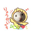 我が家のフェレットちゃん（個別スタンプ：2）