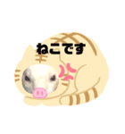 我が家のフェレットちゃん（個別スタンプ：5）