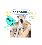 ゆずるオンリーワン3（個別スタンプ：2）