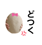 写真ネタスタンプ（個別スタンプ：9）