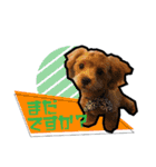 犬敬語スタンプ（個別スタンプ：2）