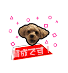 犬敬語スタンプ（個別スタンプ：6）