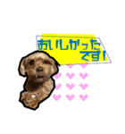 犬敬語スタンプ（個別スタンプ：8）