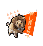 犬敬語スタンプ（個別スタンプ：9）