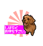 犬敬語スタンプ（個別スタンプ：10）