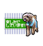 犬敬語スタンプ（個別スタンプ：13）