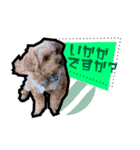 犬敬語スタンプ（個別スタンプ：16）