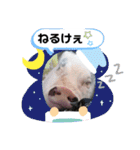 広島弁キャサリン（個別スタンプ：8）