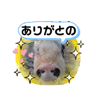 広島弁キャサリン（個別スタンプ：14）