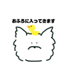 ウエスティのおシェリ（個別スタンプ：7）