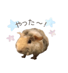 もぐらとひぐま（個別スタンプ：2）